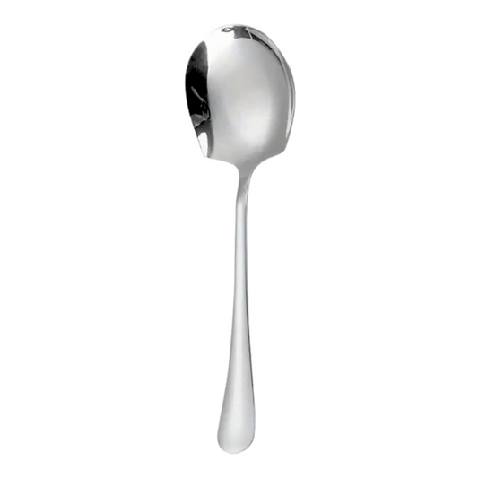 Stainless Steel Serving Spoon