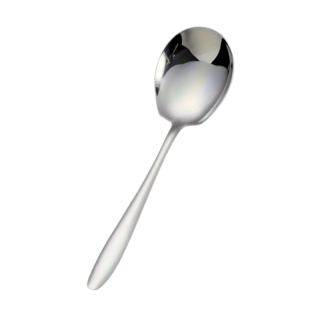 Stainless Steel Serving Spoon