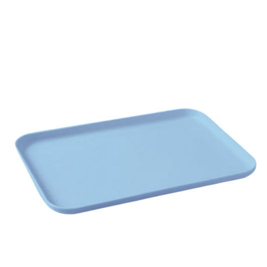 Medium Serving Tray in Light Blue